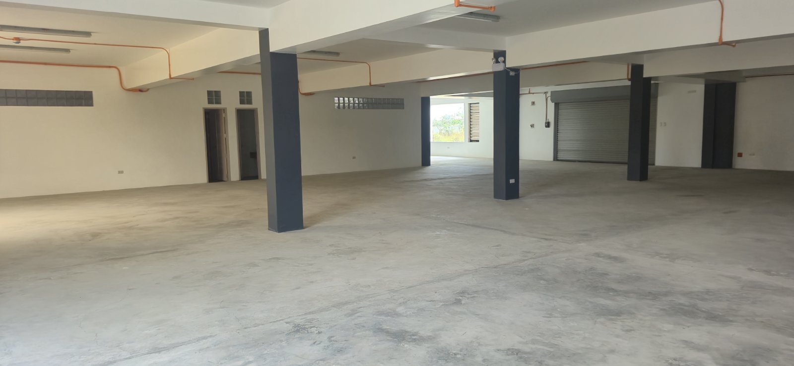 viber_image_2026-03-30_11-01-54-189