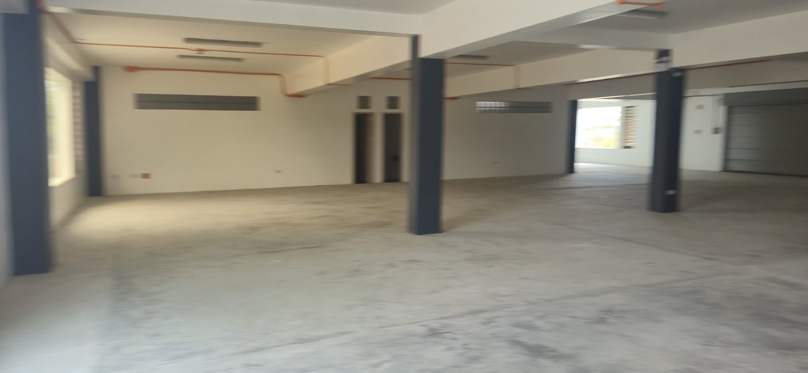 viber_image_2026-03-30_11-01-54-227